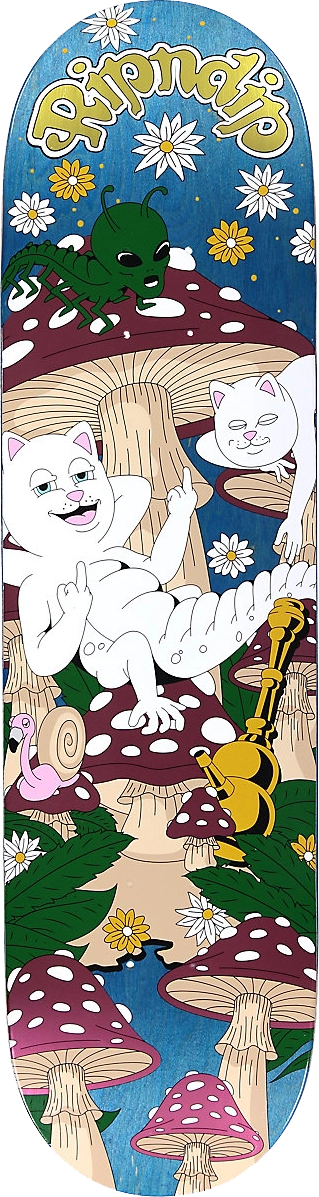 2022 – RipNdip – Caterpillar Garden