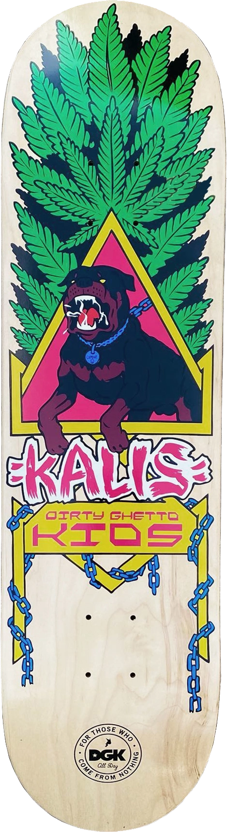 2014 – DGK – Josh Kalis by Eric Bailey